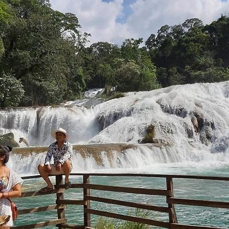 Posada Tzeltal Arroyo Agua Azul Eksteriør billede