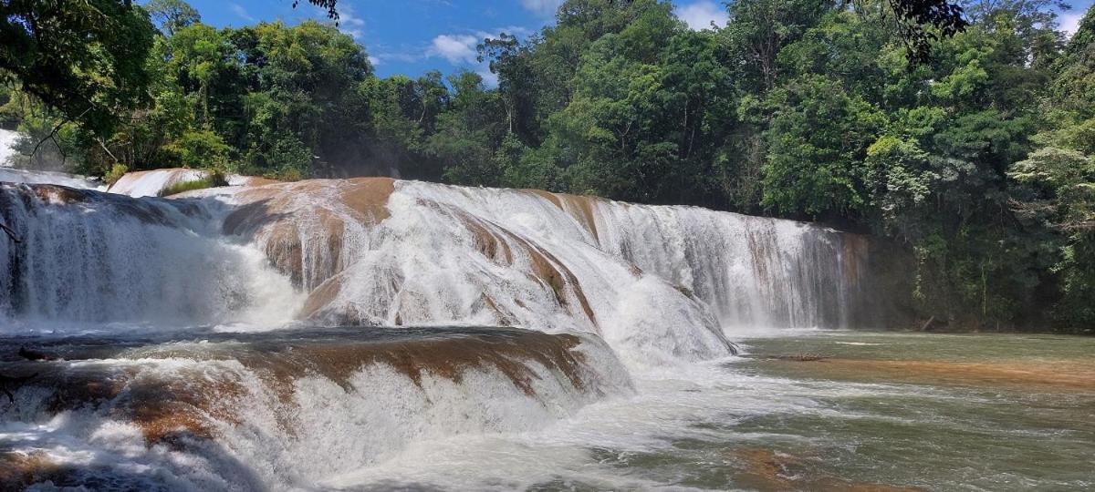 Posada Tzeltal Arroyo Agua Azul Eksteriør billede